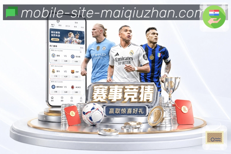 线路诊断 - 网络检测与备用入口